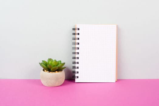 Blank notepad with a pencil on a pink and graybackground, pot with a cactus, copy space for text, office desk