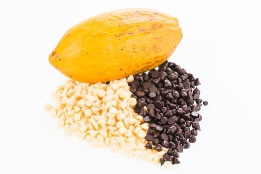Fresh cocoa pod and chocolate chips over white background