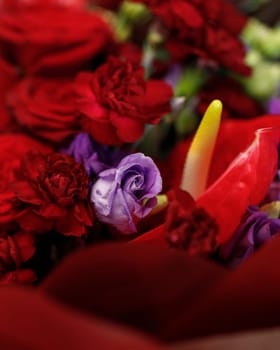 Beautiful large bouquet composed of red and purple flowers. Bouquet of roses, calla lilies and eustoma wrapped in red floral film and tied with purple satin ribbon closeup view
