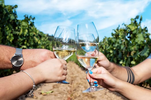 Vermentino wine. Young boys toast with a glass of white wine among the rows of a vineyard. Lifestyle, food and drink.