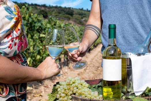 Vermentino wine. Young boys toast with a glass of white wine among the rows of a vineyard. Lifestyle, food and drink.