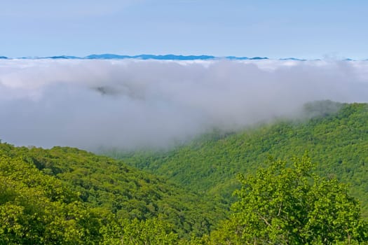 Morning Fog Evaporating in the Sun Along the Blue Ridge Parkway in North Carolina