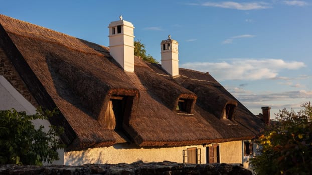 Roof of an old house created from reed stems, Hungary, Europe. Historical technique of insulation of building using parts of plants in thick layers.