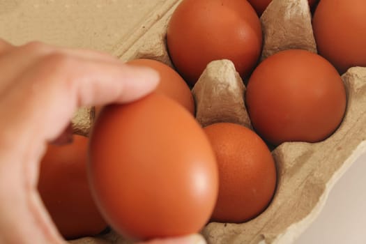 Chicken egg in hand close-up against the background of eco-friendly cardboard packaging. Focus on the background. Healthy food concept. Ecology concept.
