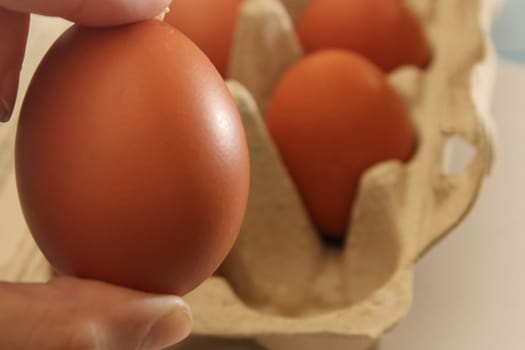 Chicken egg in hand close-up against the background of eco-friendly cardboard packaging. Healthy food concept. Ecology concept.