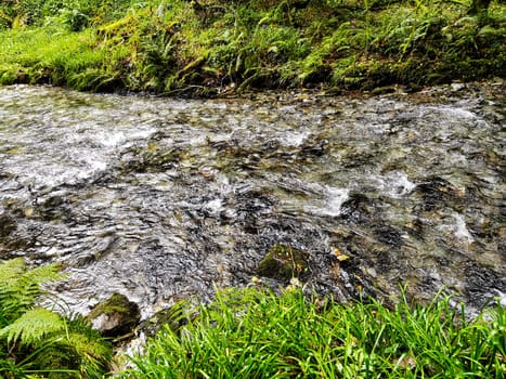 River Lyd in Lydford Gorge, Dartmoor National Park, Devon, United Kingdom
