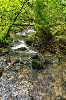 Kennall River in Kennall Vale Nature Reserve, Ponsanooth, Cornwall, United Kingdom