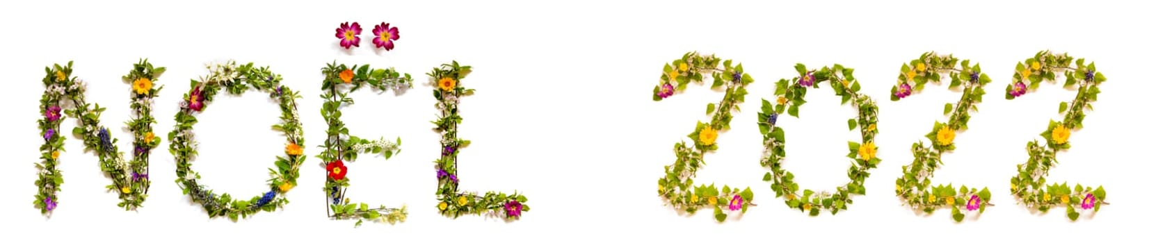 Flower, Branches And Blossom Letter Building French Word Noel 2022 Means Christmas 2022. White Isolated Background