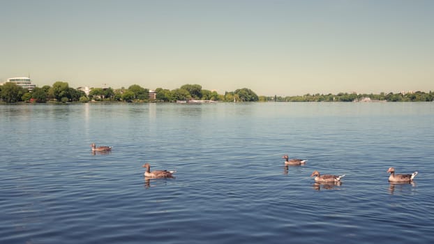 Aussenalster (Outer Alster lake) in Hamburg hdr