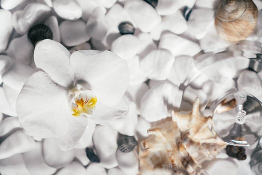 White orchid with yellow core lie on surface of water above bottom with white stones and shell. Rare drops drip onto water and circles disperse. Transparent fresh water with flecks and waves. Top view