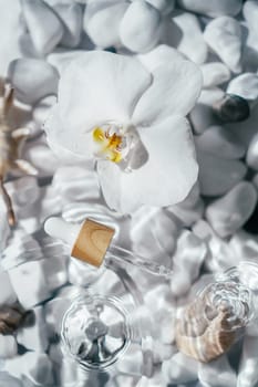 White orchid with facial pipette serum oil, essence cosmetic product on surface of water bottom with white stones and shells. Transparent fresh water with flecks and waves. Top view. Vertical