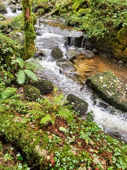 Kennall River in Kennall Vale Nature Reserve, Ponsanooth, Cornwall, United Kingdom