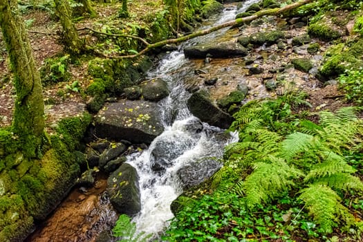 Kennall River in Kennall Vale Nature Reserve, Ponsanooth, Cornwall, United Kingdom