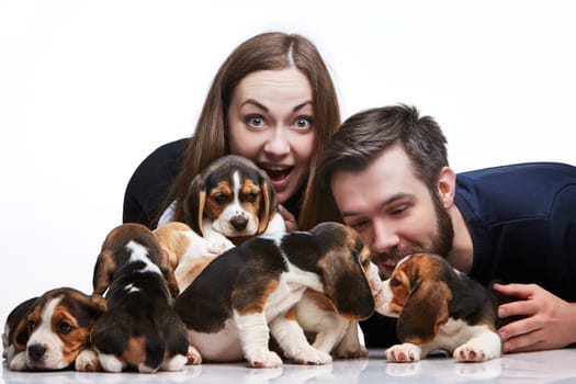 The happy man, woman and big group of a beagle puppies on white background