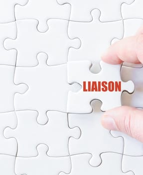 Last puzzle piece with word LIAISON as Business Concept for teamwork, synergy, collaboration