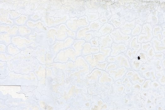 Grunge white background cement old texture wall