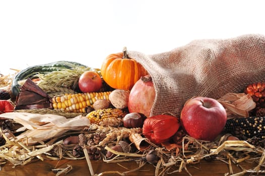 Thanksgiving - various pumpkins in jute sack on straw with text space against a white background