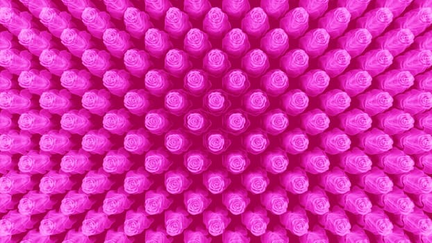 roses flower background vivid hologram colors pink neon graphic top view pattern valentine's day or birthday invitation card 3D illustration