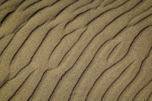 A texture of sand on the beach created by wind and waves.