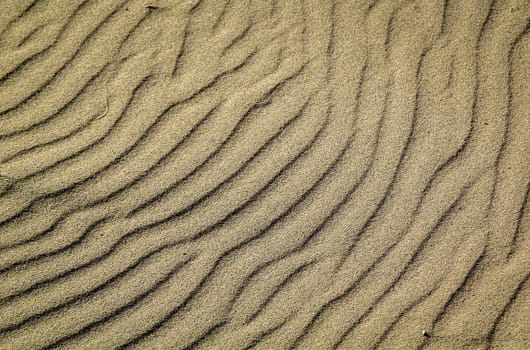 A texture of sand on the beach created by wind and waves.