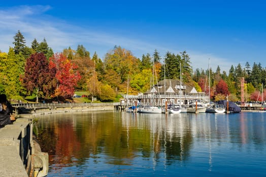 Vancouver, Canada - October 20,2018: Autumn color of Stanley Park along the seawall path in sunny day, Vancouver, British Columbia, Canada.