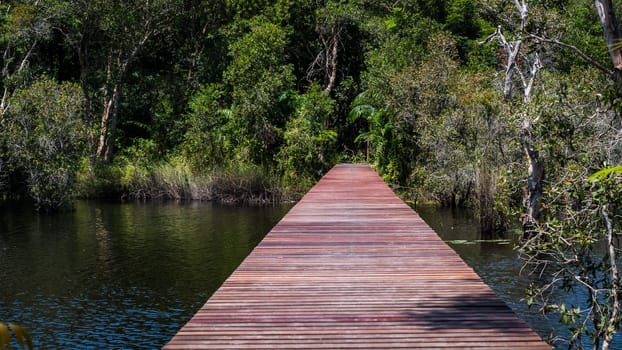 Wooden pathway in deep green forest lake. Beautiful wooden path trail for nature trekking with lakes and forest landscape Rayong Provincial East Plant Center Thailand