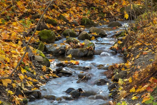 water creek autumn nature orange leafs in canada rock mountain stream tranquil forest