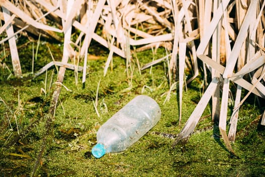 Old Plastic Bottle Floats In Water Of Swamp Or Bog. Used Empty Bottle Left In Water. Eco Concept Garbage Disaster From Ecological Pollution Of Environment. Waste Pollution Problem.