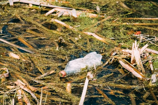 Old Plastic Bottle Floats In Water Of Swamp Or Bog. Used Empty Bottle Left In Water. Eco Concept Garbage Disaster From Ecological Pollution Of Environment. Waste Pollution Problem.