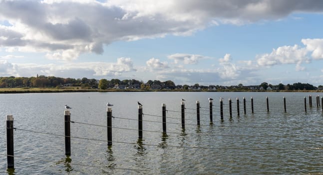 Landscape panorama - view from the marina in Zempin across the Achterwasser towards the holiday home Zinnowitz on Usedom