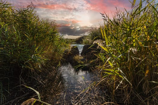 Recreation area island Usedom - untouched nature at the beautiful Achterwasser near Zempin in autumn