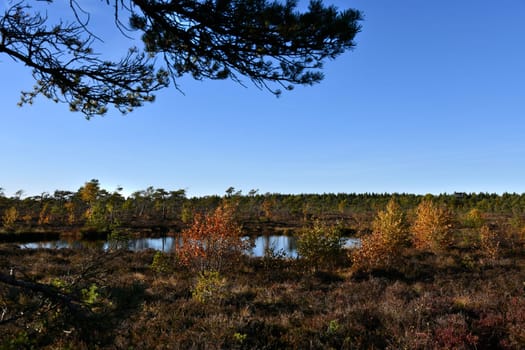 The Black Moor in the Bavarian Rhön