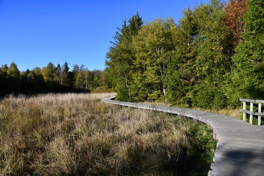 The Black Moor in the Bavarian Rhön