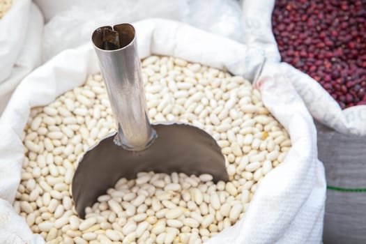 White and red beans in rolled up sacks. Focus on shovel