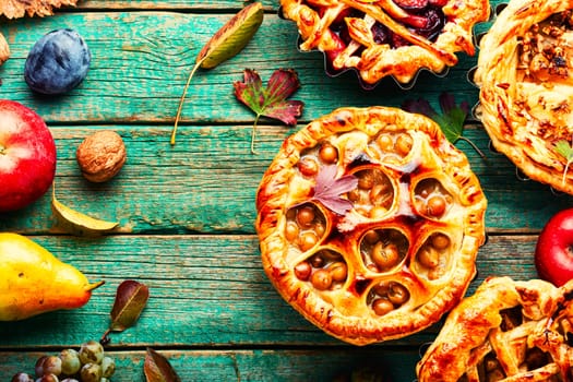 Appetizing seasonal autumnal pies with apples, plums and grapes.
