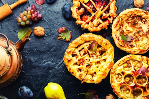 Appetizing seasonal autumnal pies with apples, plums and grapes.