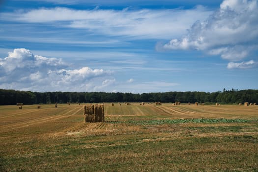 Straw bales on a harvested wheat field. Food supply. Agriculture to feed humanity. Landscape shot from nature.