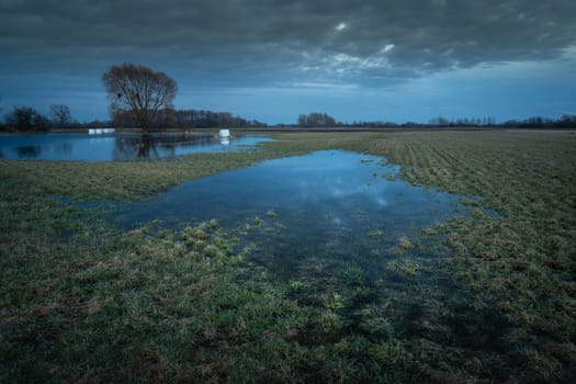 Meadow with spring puddles on a cloudy evening, Nowiny, Lubelskie, Poland
