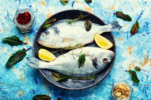 Two raw dorado fish for cooking on a plate. Seafood