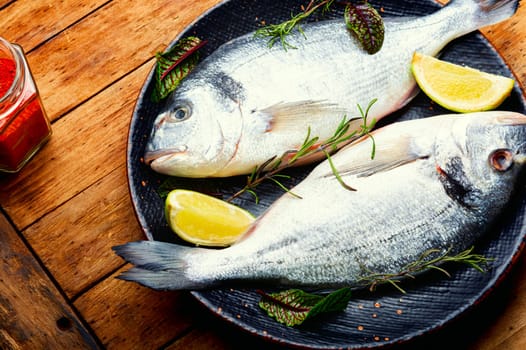 Two raw dorado fish for cooking on a plate. Seafood