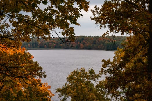 View of the longest lake in Lithuania Asveja or Lake Dubingiai through the crowns of autumn trees.