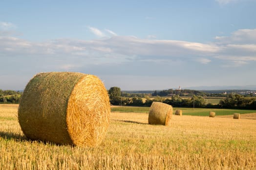 Hay Bales In Wheat Field