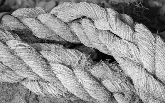 A carelessly thrown away old rope from a cutter, ship.