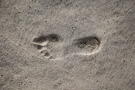 The footprint of a person in the wet sand on the beach.