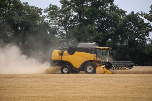 A yellow combine harvested a field of grain at the end of summer.