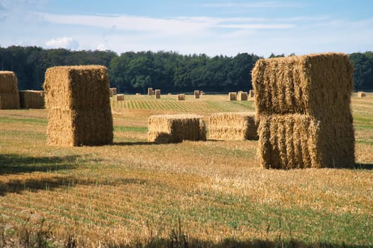 Straw bales on a harvested wheat field. Food supply. Agriculture to feed humanity. Landscape shot from nature.