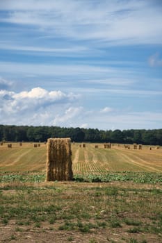 Straw bales on a harvested wheat field. Food supply. Agriculture to feed humanity. Landscape shot from nature.