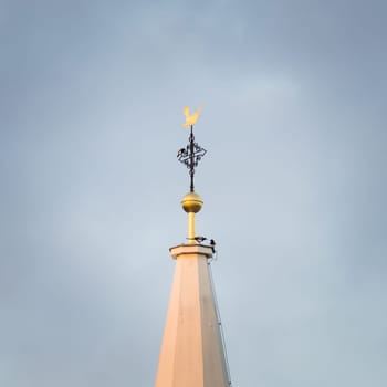 Magpies on a steeple in Burgenland