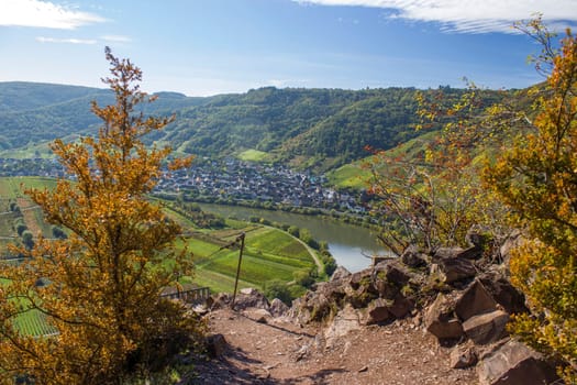 Moselle River in Germany, view of Bremm village in the Mosel river valley, Germany