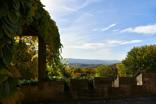 Colorful autumn foliage in the sunlight